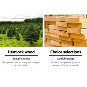 Adirondack Chair