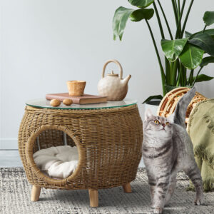 Wicker Pet Bed Coffee Table