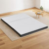Queen Foldable Mattress