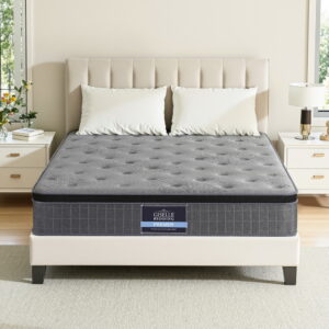 Queen Latex Mattress