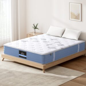 Double Pocket Spring Mattress