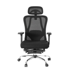 Ergonomic Office Chair