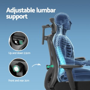 Ergonomic Office Chair