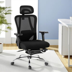 Ergonomic Office Chair