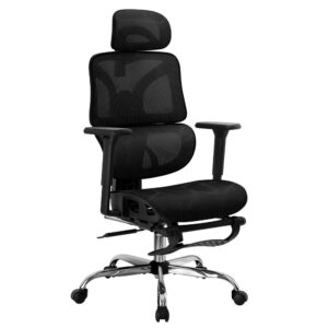 Ergonomic Office Chair