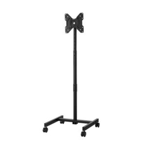 Mobile TV Stand