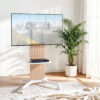 Mobile TV Stand