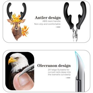 Professional Eagle-Beak Nail Nipper For Thick &Amp; Ingrown Toenails – Stainless Steel Cutters With 25° Curved Edge, Anti-Slip Abs Handle, Built-In Spring, Washable Design, Dermatologist-Recommended Foot Care Tool (Black) - Image 5