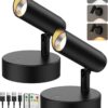 Spotlights Indoor, No-Glare Rechargeable Floor Can Light for Plants with Remote, Wireless Art Accent Spot Lights Uplight for Painting, Picture, Dartboard, Home, Corner Sofa Display 2PCS