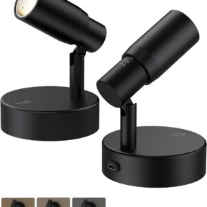Zoomable Spot Lights Indoor, Rechargeable Picture Light with Remote, Dimmable CCT Spotlight for Wall Art, 6000mAh Uplights with Timer for Plant Artwork Painting Sofa Corner Black 2Pack