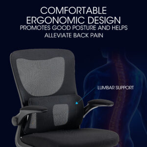 Ergonomic Mesh Office Chair