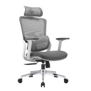 Ergonomic Office Chair