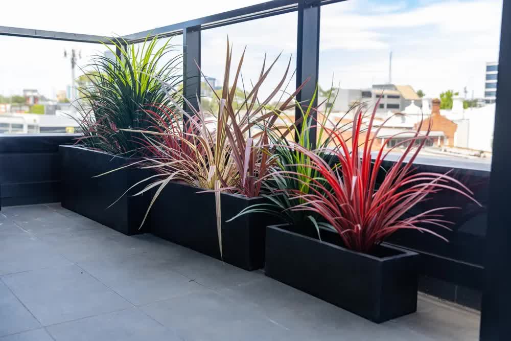 Luxury Black Terrazzo Concrete Planter Set Of 3 – Auz Sales Online Luxury Black Terrazzo Concrete Planter Set Of 3 - Image 3