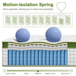 Bedstory 34Cm King Single Latex Hybrid Mattress Medium Firm - 5 Zone Pocket Spring Bed For Pressure Relief Motion Isolation - Image 6